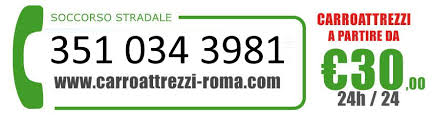 351 034 3981